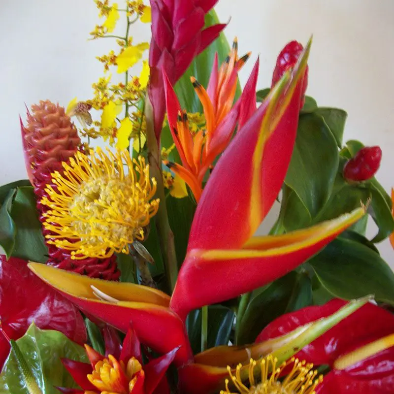 A close up of some flowers with leaves