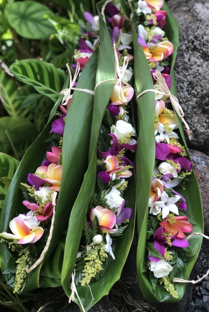 A bunch of flowers that are in some kind of plant